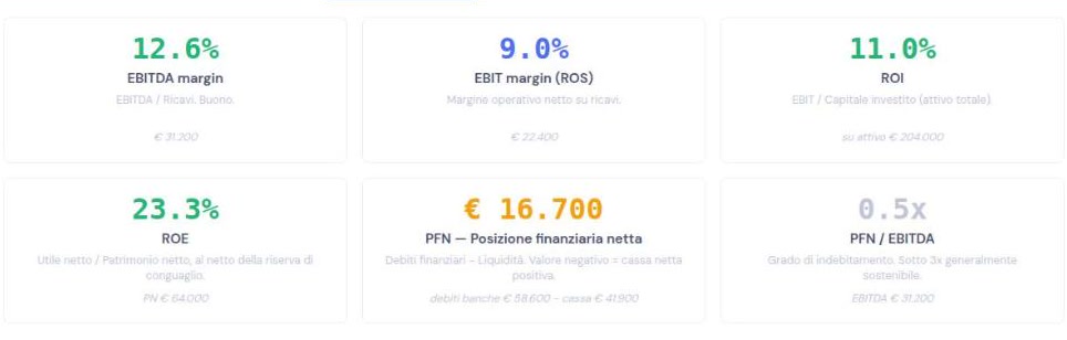 Indici di bilancio: EBITDA margin, EBIT margin, ROI, ROE, PFN e PFN su EBITDA